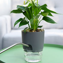 Load image into Gallery viewer, Hydro Haven™ - Self Watering Flowerpot
